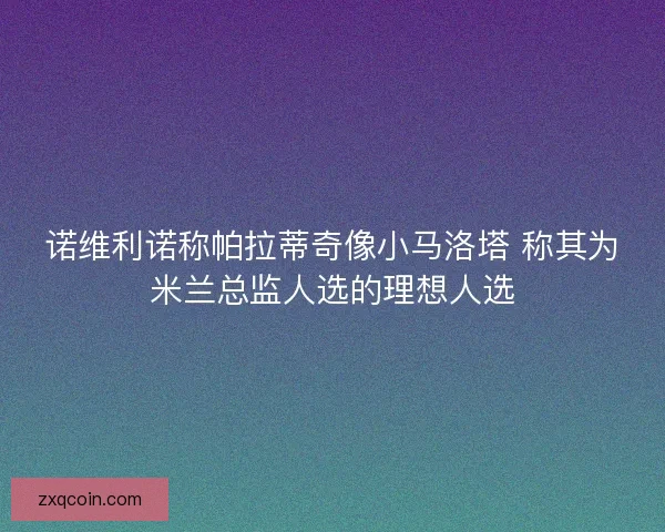 诺维利诺称帕拉蒂奇像小马洛塔 称其为米兰总监人选的理想人选